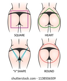 Set Of Main Shapes Of Buttocks. Woman Bodies In String Pants. Vector Illustration.