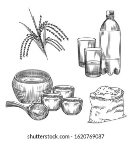 Set of makgeolli. Korean traditional alcohol drink rice wine. Bag of rice, plastic bottle, glass, ceramic ware, branch of rice isolated on white background. Vintage engraved style. Vector illustration