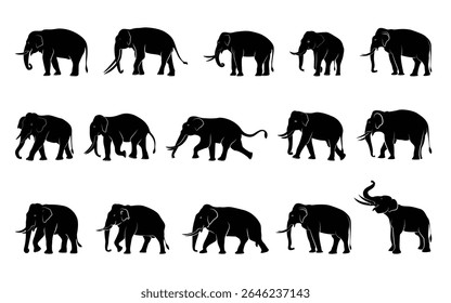 Set of male elephant silhouettes in different poses separated excellent drawing. Vector illustration.