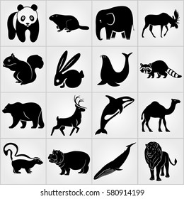 Set of Mammal Animals icons. Rabbit, Deer, Elephant , Sea lion, Grampus, Groundhog, Bear, Squirrel, Moose, Raccoon, Camel, Skunk, Hippopotamus, Whale, Lion and Panda icons