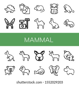 Set of mammal icons. Such as Hedgehog, Rabbit, Horse, Scratching post, Rat, Camel, Panda bear, Walrus, Chameleon, Kangaroo, Bear, Lion, Bunny, Whale, Deer, Elephant , mammal icons