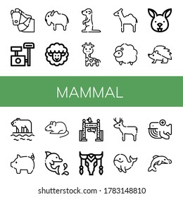 Set of mammal icons. Such as Horse, Scratching post, Bison, Lamb, Meerkat, Giraffe, Camel, Sheep, Bunny, Hedgehog, Polar bear, Pig, Rat, Dolphin, Zoo, Cow, Deer , mammal icons