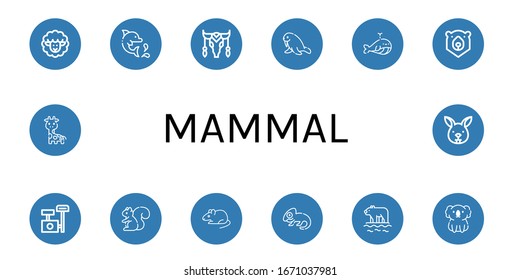Set of mammal icons. Such as Lamb, Dolphin, Cow, Walrus, Whale, Bear, Scratching post, Squirrel, Rat, Chameleon, Polar bear, Koala, Giraffe, Bunny , mammal icons