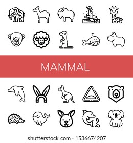 Set of mammal icons. Such as Mammoth, Bear, Camel, Lamb, Bison, Meerkat, Dolphin, Whale, Giraffe, Hippopotamus, Hedgehog, Rabbit, Kangaroo, Bunny, Hump, Koala , mammal icons