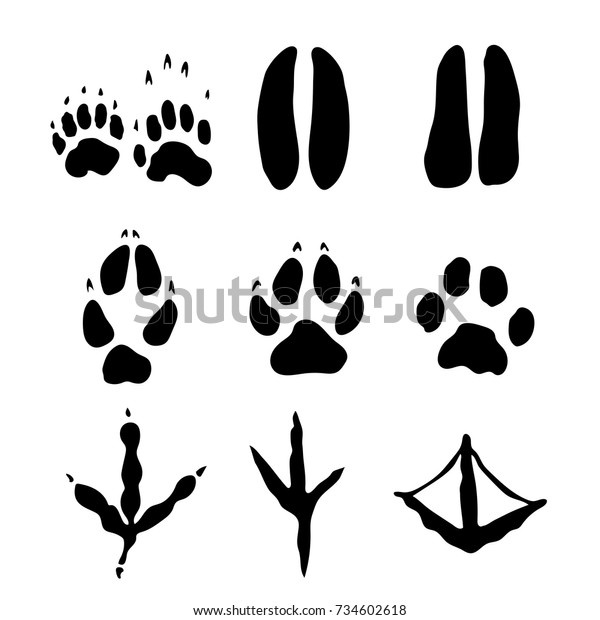 Set Mammals Bids Footprints Isolated On Stock Vector (Royalty Free ...