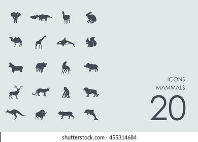 Set of mammals icons
