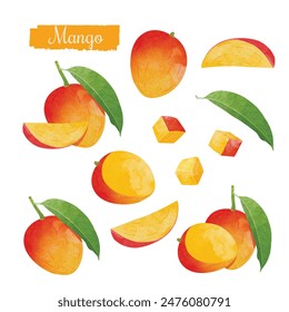 Conjunto de Elementos de diseño de mango. Ilustración vectorial de estilo acuarela.