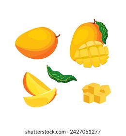 Conjunto de frutas de mango con rebanada y hoja aisladas sobre fondo blanco. ilustración vectorial.