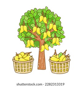 Legen Sie Mango auf weißem Hintergrund, Vektorgrafik.

