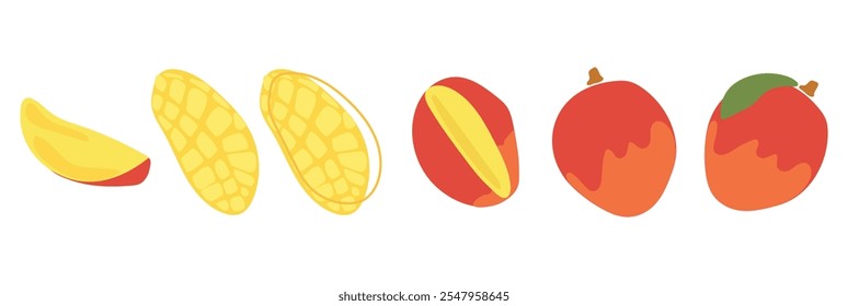 A set of mango slices. Fresh, juicy and tasty fruit. Vector illustration of organic tropical fruit. Eco-label for natural flavor. Juice, smoothie design.