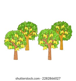 Set Mango Tree on Background Vector. 