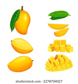 conjunto de frutas tropicales de Mango con hojas verdes aisladas en fondo blanco. Vector eps 10. perfecto para elementos de papel o diseño