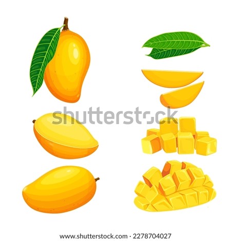 set of Mango tropical fruit with green leaf isolated on white background. Vector eps 10. perfect for wallpaper or design elements