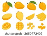 set of Mango tropical fruit vector illustration. isolated on white background. Vector eps 10. perfect for wallpaper or design elements	
