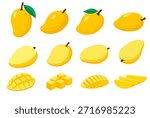 set of Mango tropical fruit vector illustration. isolated on white background. Vector eps 10. perfect for wallpaper or design elements	