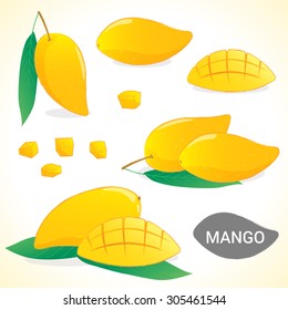 Set of mango in vector and various styles