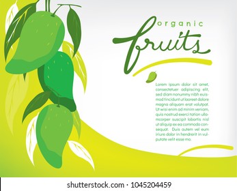 A set of mangoes is hanging in the left side on a bright yellow green and white background. There are a hand written word "fruits" and some spaces for writing many texts.