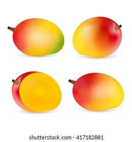 Set mangoes isolated on white background. Realistic vector illustration.