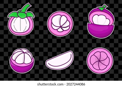 Set von Mangosteen, einzelne Vektorgrafik. violette Mangostane für Aufkleber, Sammlung, Dekoration, Menü