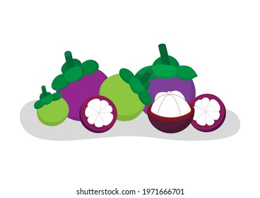 set of mangosteen on white background, isolated for mangosteen slice, creative design vector illustration