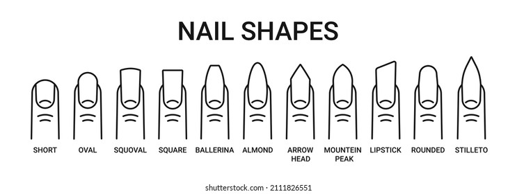 Set of Manicure fashion nail shapes with names linear icons isolated on white background. Big collection for master. Outline flat style. vector illustration.