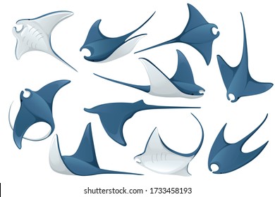 Set of manta ray underwater giant animal with wings simple cartoon character design flat vector illustration isolated on white background