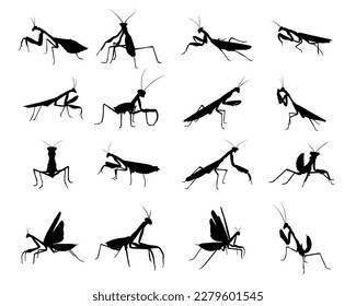 Set mantis silhouette vector illustration.