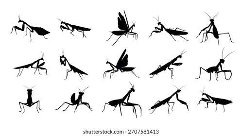 set mantis silhouette vector illustration