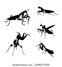 Set of mantis silhouettes. Vector illustration.