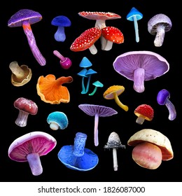 set, many amazing and very beautiful, bright mushrooms of different colors on a black background