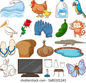 Set of many animals and other items on white background illustration