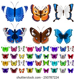 Set of many butterflies in various colors and forms
