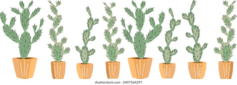 Set of many cacti in pots. Prickly pear in pots.