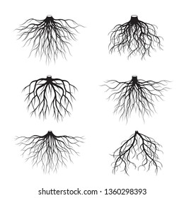 Set of many different
black Roots. Underground plant element. Vector outline Illustration.