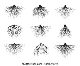 Set of many different
black Roots. Underground plant element. Vector outline Illustration.