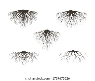 Conjunto de muchas raíces negras diferentes. Ilustración del contorno del vector.
