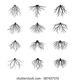 Set of many different
black roots tree. Underground plant element. Vector outline Illustration.