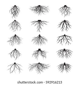 Set of many different
black Roots tree. Underground plant element. Vector outline Illustration.