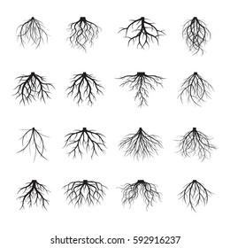 Set Of Many Different
Black Roots. Underground Plant Element. Vector Outline Illustration.