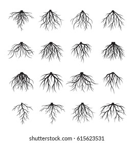 Set of many different
black roots tree. Underground plant element. Vector outline Illustration.