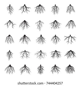 Set of many different
black Roots. Underground plant element. Vector outline Illustration.