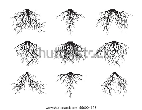 Set Many Different Black Roots Vector Stock Vector (Royalty Free) 556004128