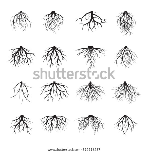 Set Many Different Black Roots Underground Stock Vector (Royalty Free ...