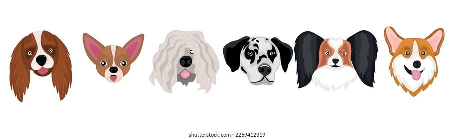 Set of many different dogs on white background
