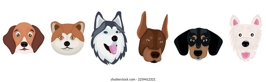Juego de perros diferentes sobre fondo blanco