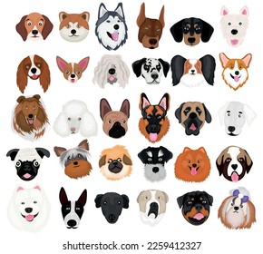 Set of many different dogs on white background