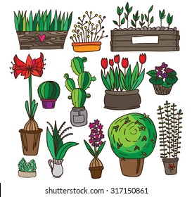 Set of many different plants in colour version - violet, tulips, cactus, lily. They are on the white background. These plants are associated with the spring time when the weather is really good.
