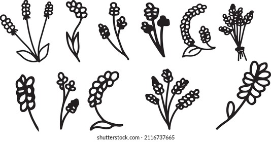 Set with many ears of wheat in black and white