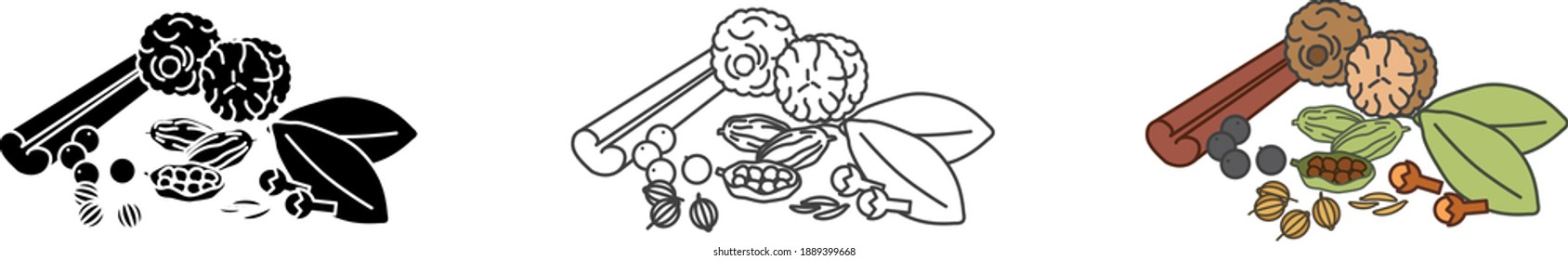 Set of many spices ,Garam masala icon , vector illustration	
