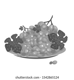 A set of many types of delicious fruits, a branch of grapes that lie on plates. Gray tones. Isolated vector illustration.
